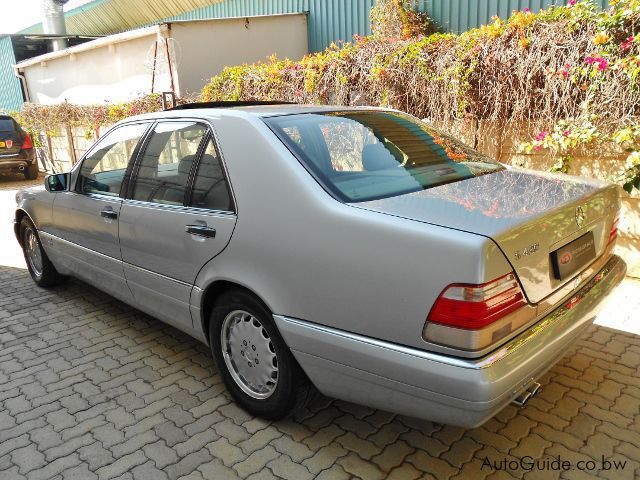 Mercedes-Benz S420 AMG  in Botswana