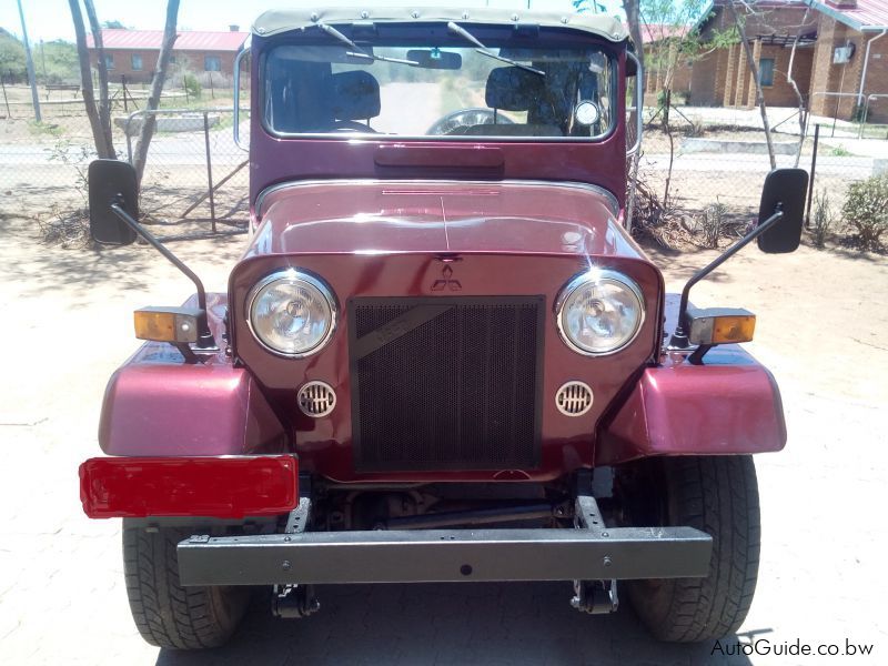 Mitsubishi Jeep 4DR6 in Botswana