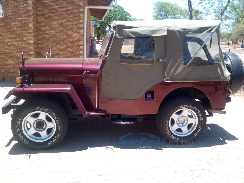 Mitsubishi Jeep 4DR6 in Botswana