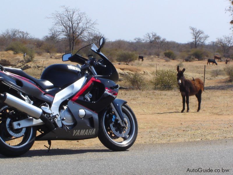 Yamaha YZF600R Thundercat in Botswana