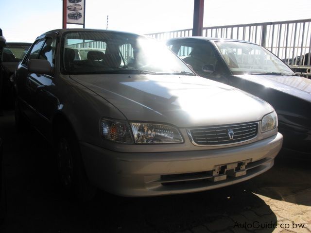 Toyota Corolla in Botswana