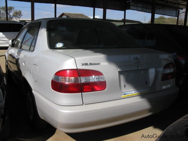 Toyota Corolla in Botswana