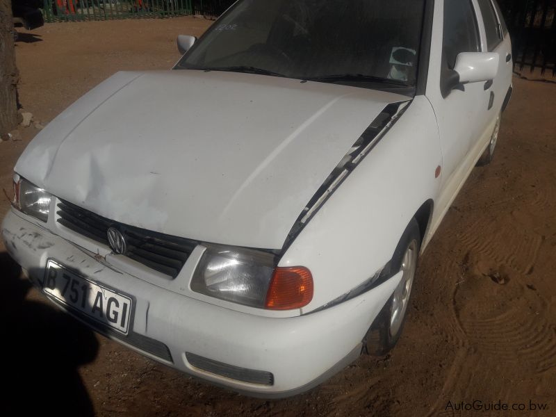 polo playa sedan