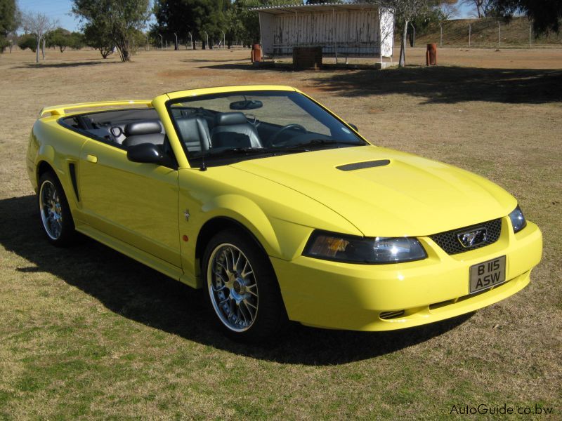 Ford Mustang in Botswana