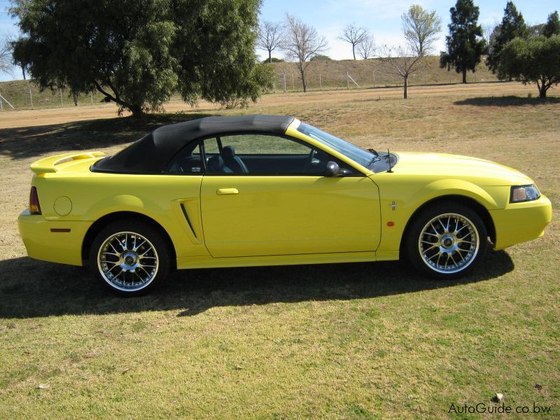 Ford Mustang in Botswana