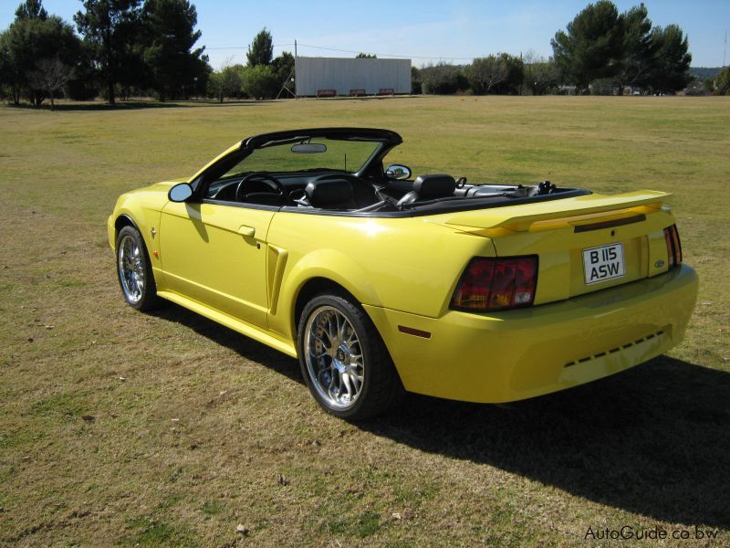 Ford Mustang in Botswana