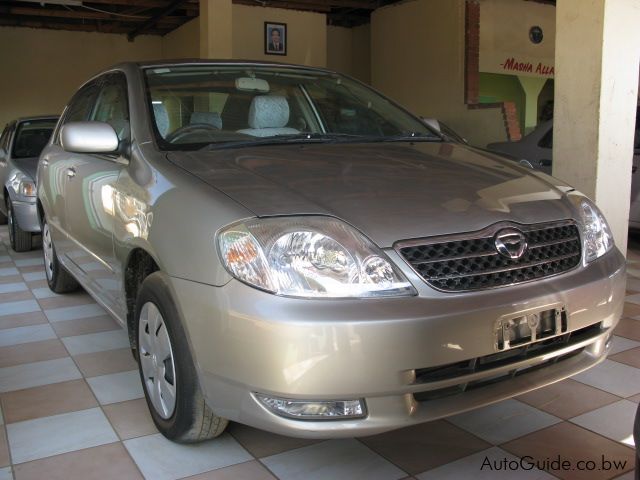 Toyota Corolla in Botswana
