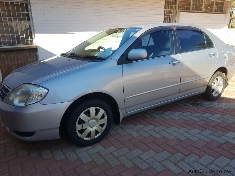 Toyota Corolla in Botswana