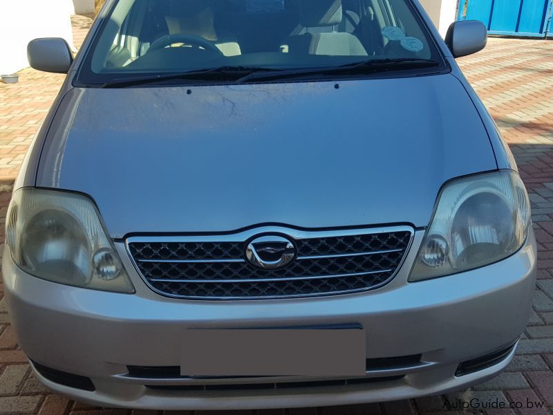 Toyota Corolla in Botswana