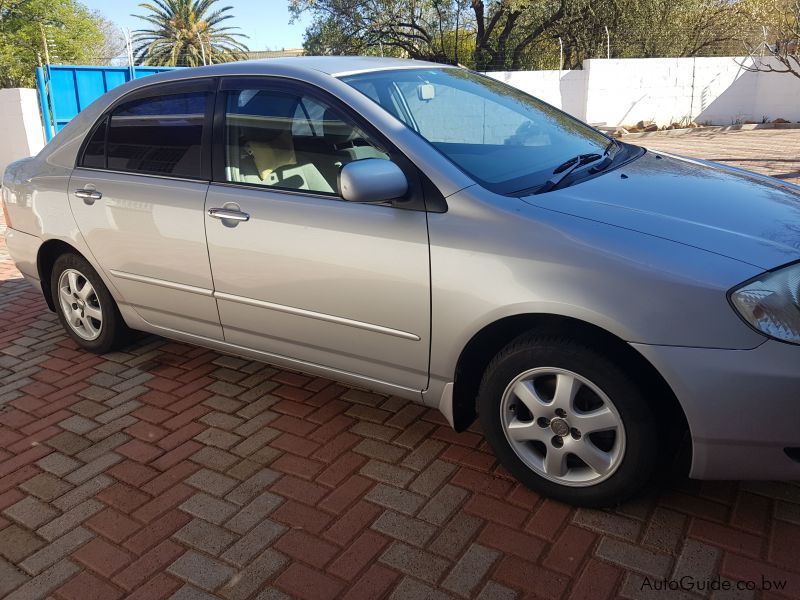 Toyota Corolla in Botswana