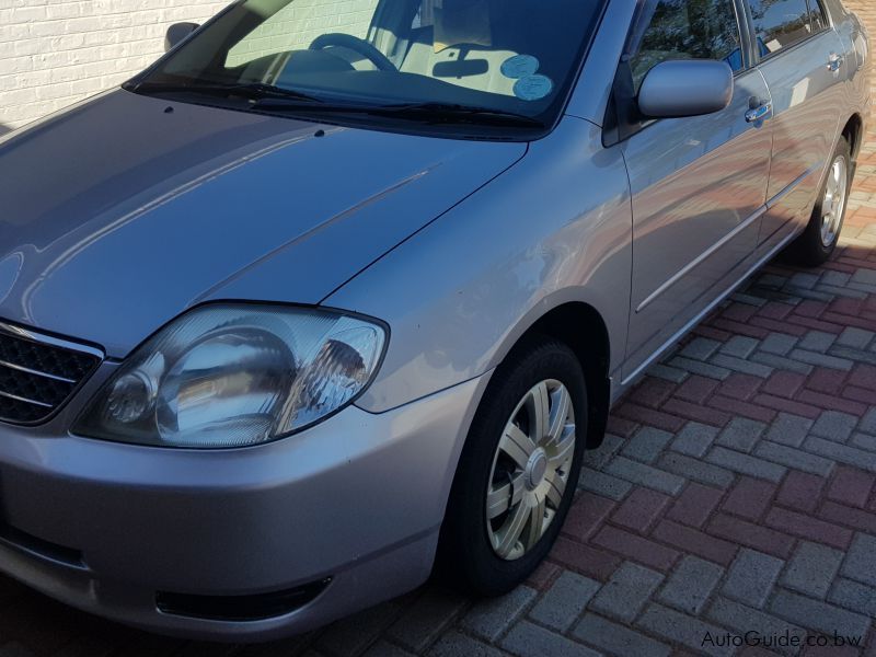 Toyota Corolla in Botswana