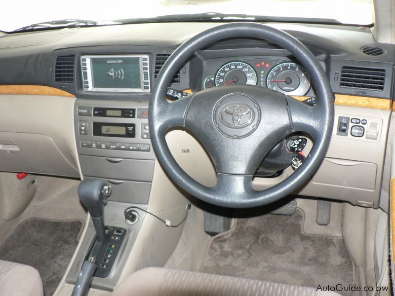 Toyota Runx in Botswana