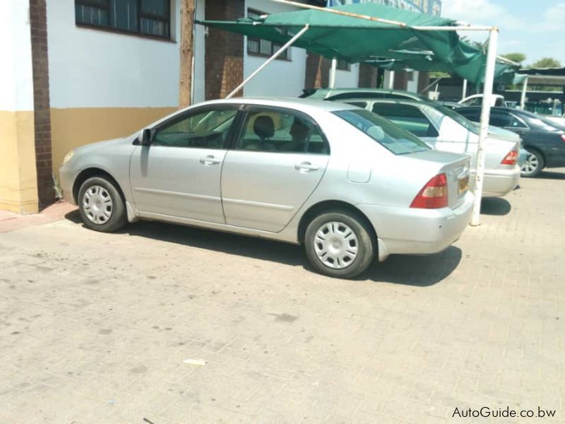 Toyota Corolla vvti bubble shape in Botswana