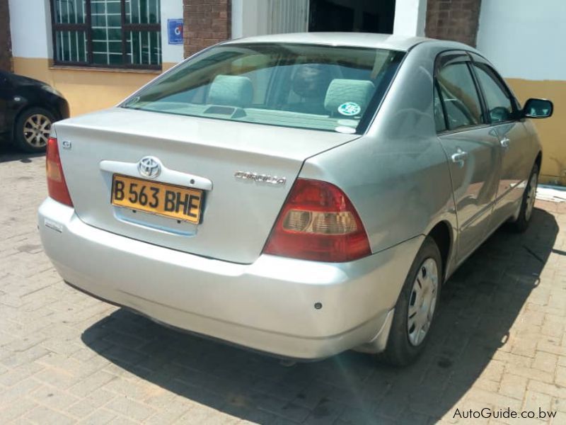 Toyota Corolla vvti bubble shape in Botswana