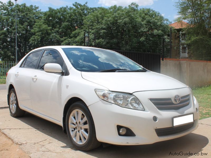 Toyota Corolla in Botswana