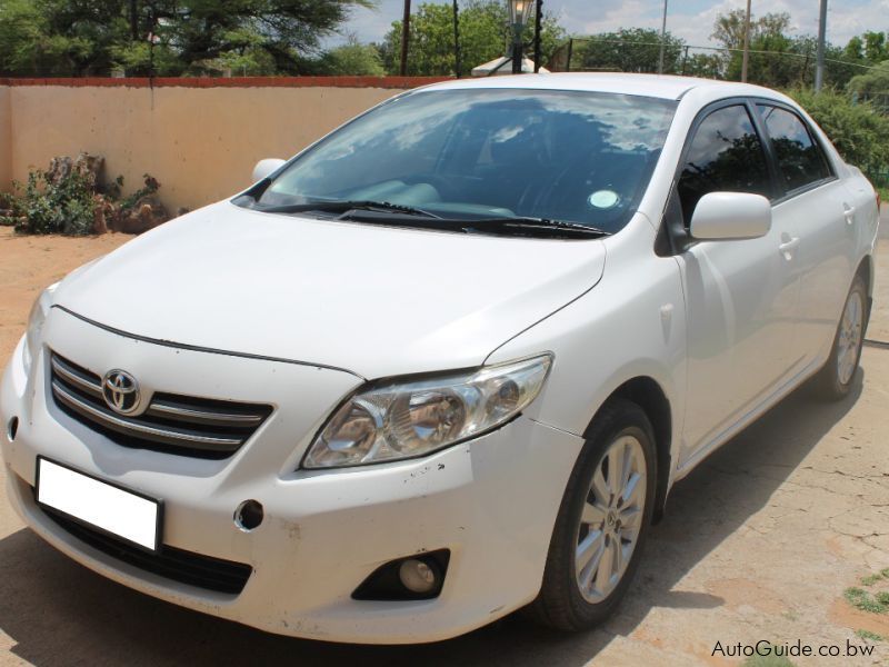 Toyota Corolla in Botswana