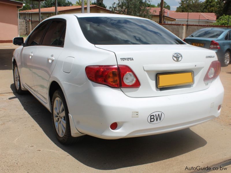 Toyota Corolla in Botswana