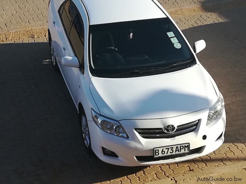 Toyota corolla in Botswana