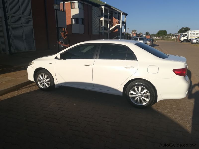 Toyota corolla in Botswana