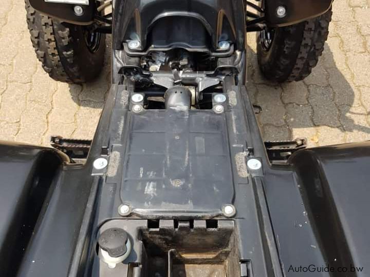 Yamaha Blaster 200 in Botswana