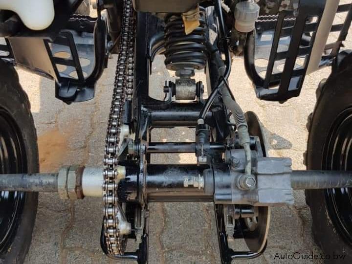 Yamaha Blaster 200 in Botswana