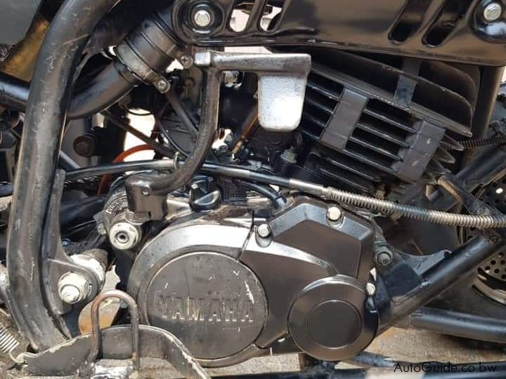 Yamaha Blaster 200 in Botswana