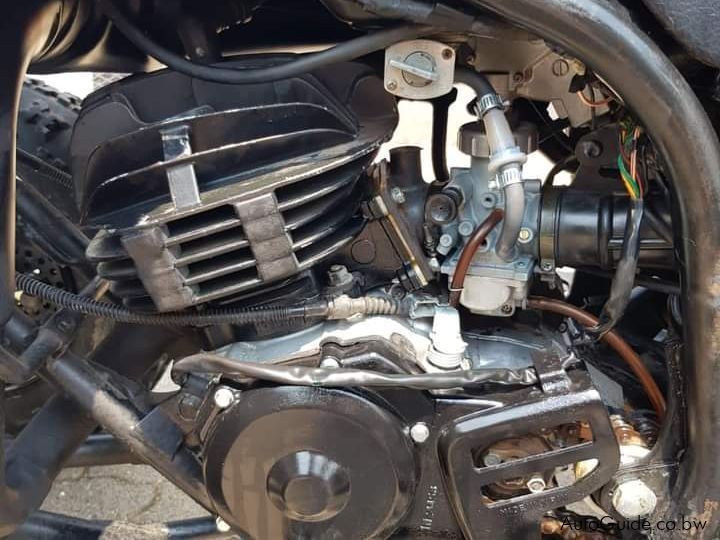 Yamaha Blaster 200 in Botswana