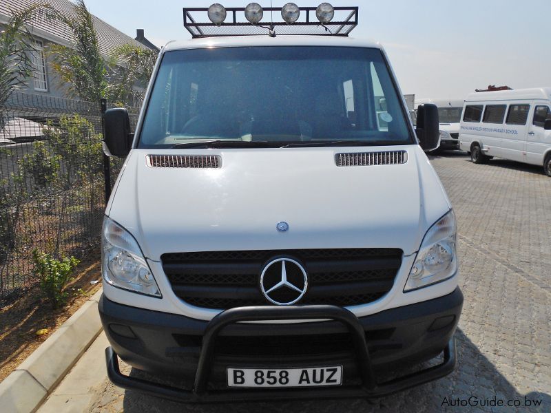 Mercedes-Benz Sprinter (Crewcab) in Botswana