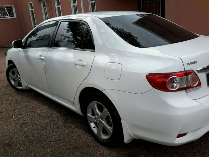 Toyota corolla in Botswana