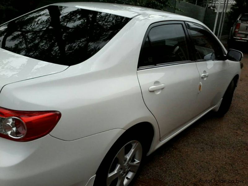 Toyota corolla in Botswana