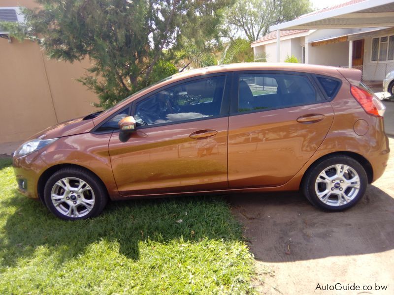 Ford Fiesta ecoboost in Botswana