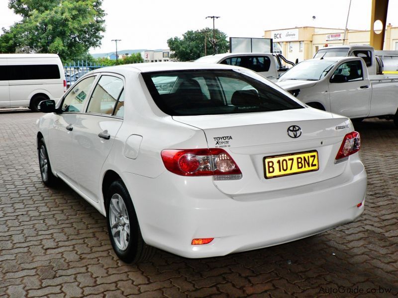 Toyota Corolla Impact in Botswana