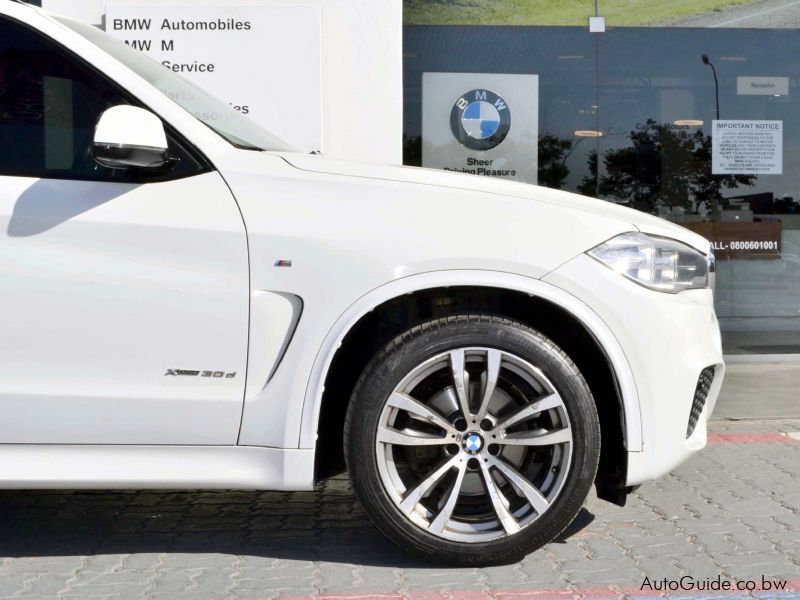 BMW X5 xDrive 30D in Botswana