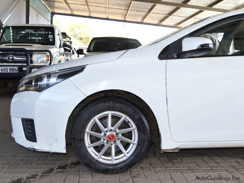 Toyota Corolla in Botswana