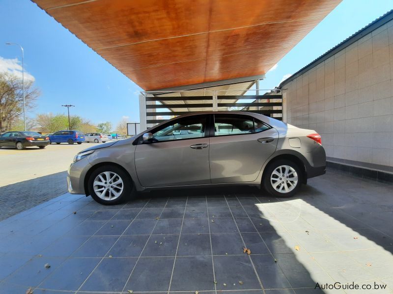 Toyota Corolla in Botswana