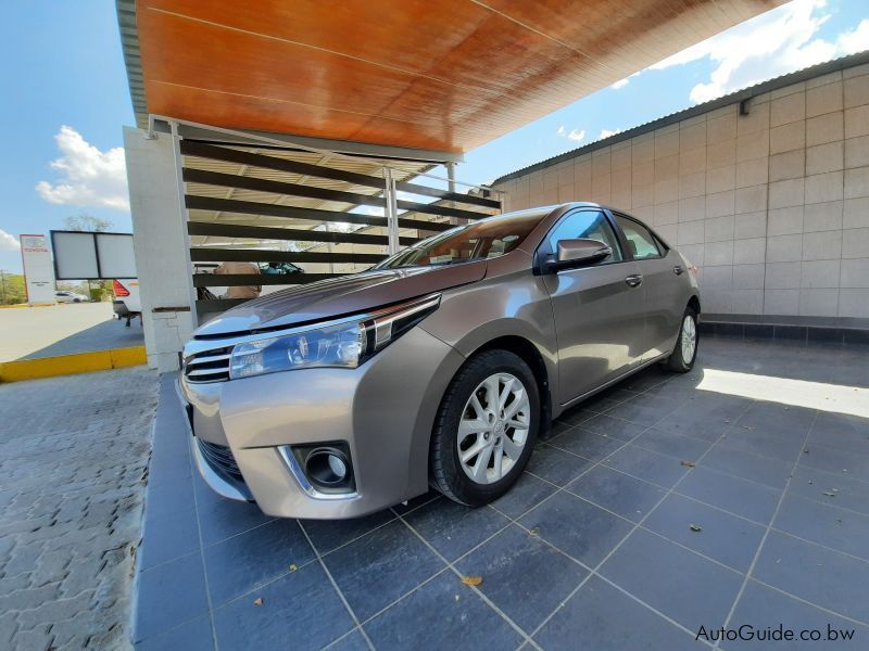 Toyota Corolla in Botswana