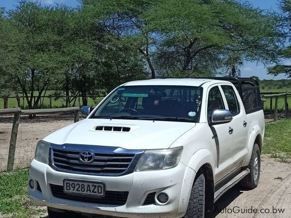 Toyota Hilux 3.0 D4d in Botswana