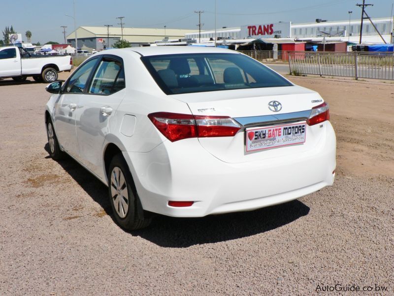 Toyota Corolla in Botswana