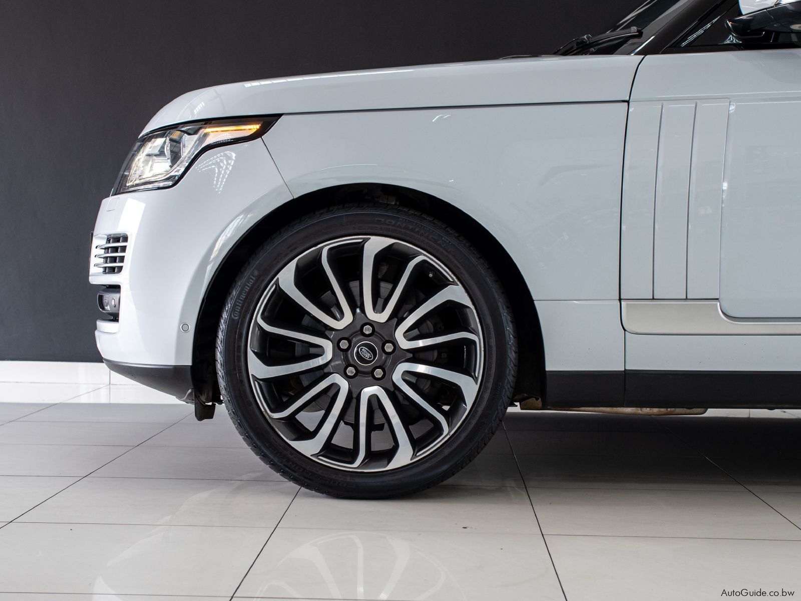 Range Rover Vogue SE SD V8 in Botswana