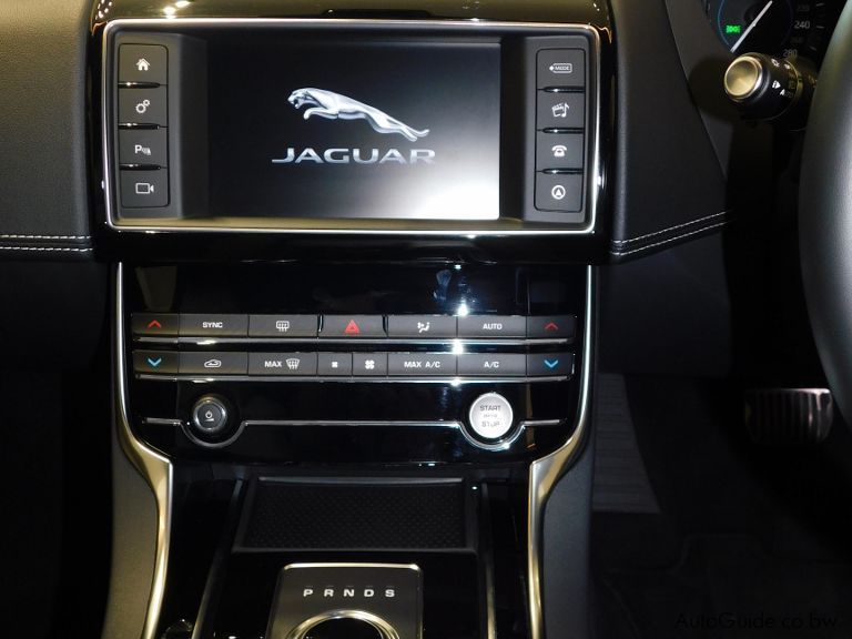 Jaguar XE V6 in Botswana