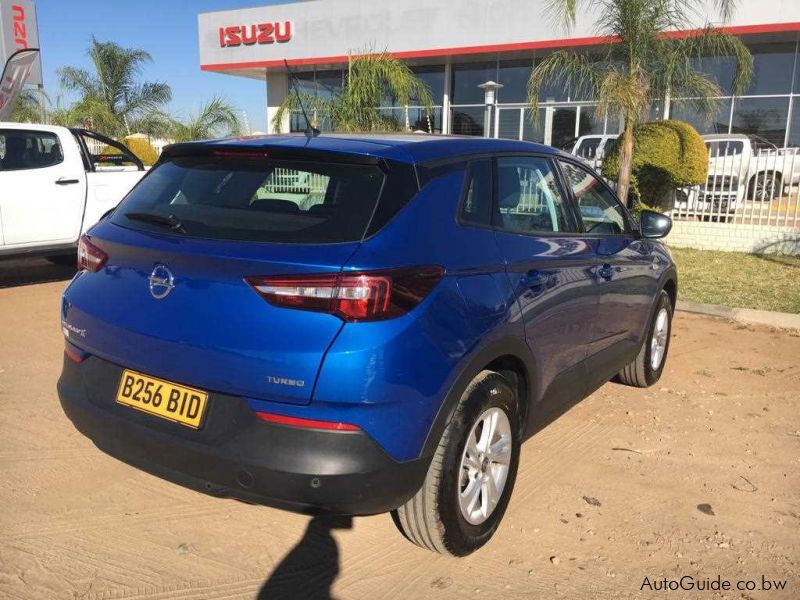 Opel Grandland X in Botswana