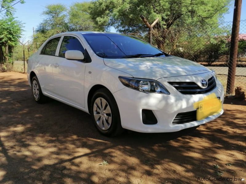 Toyota Corolla Quest  in Botswana