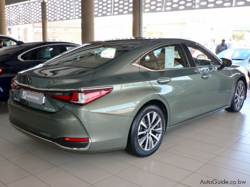 Lexus ES 250 EX in Botswana