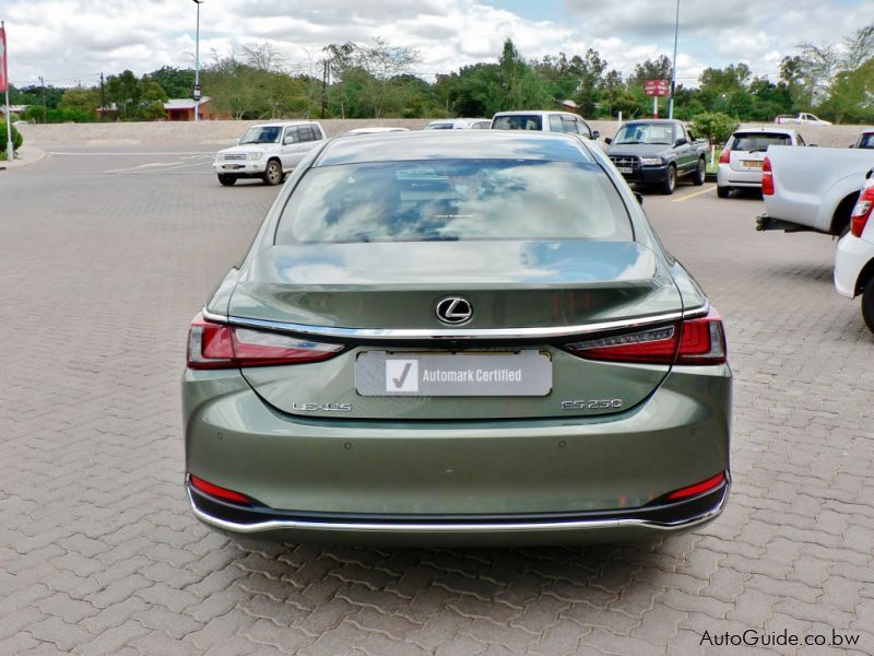 Lexus ES 250 EX in Botswana