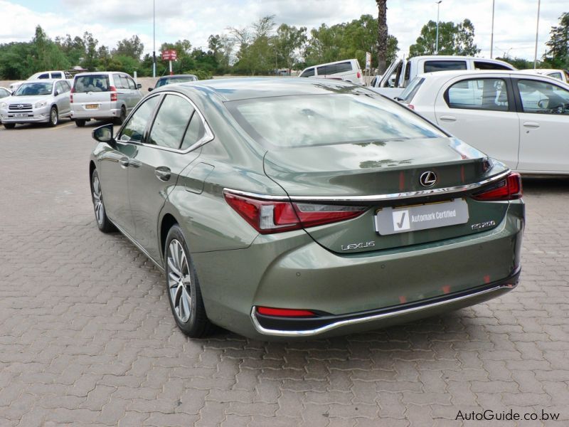 Lexus ES 250 EX in Botswana