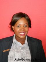 Gerente de vehículos