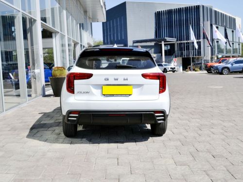 Haval Jolion Pro City in Botswana