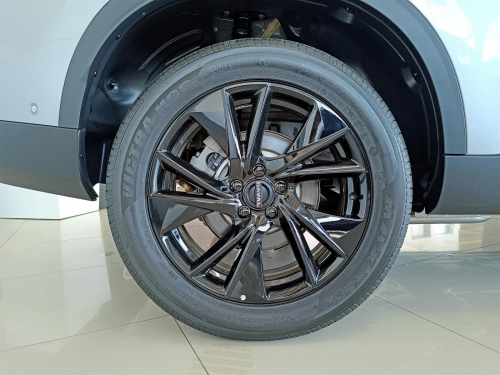 Haval H6 1.5T HEV DHT Ultra Luxury in Botswana