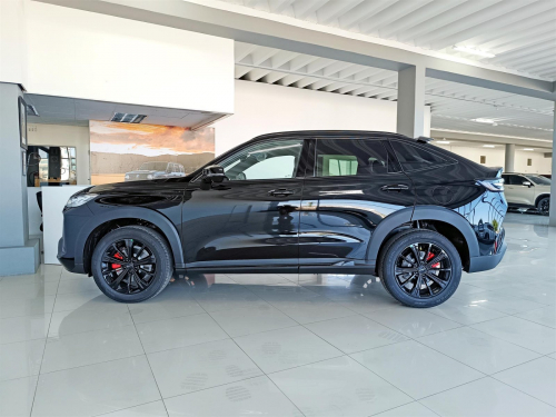 Haval H6 GT 2.0T Super Luxury 4WD in Botswana