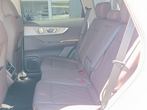 Chery Tiggo 8 Pro max Executive 2.0 TGDi in Botswana